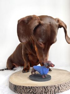 Brown dachshund sniffing a realistic 3D printed figurine of itself wearing a blue sweater, displayed on a wooden base. Do you want m