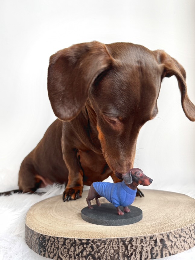 Brown dachshund sniffing a realistic 3D printed figurine of itself wearing a blue sweater, displayed on a wooden base. Do you want m